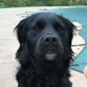 Meet your Posher, Kristina